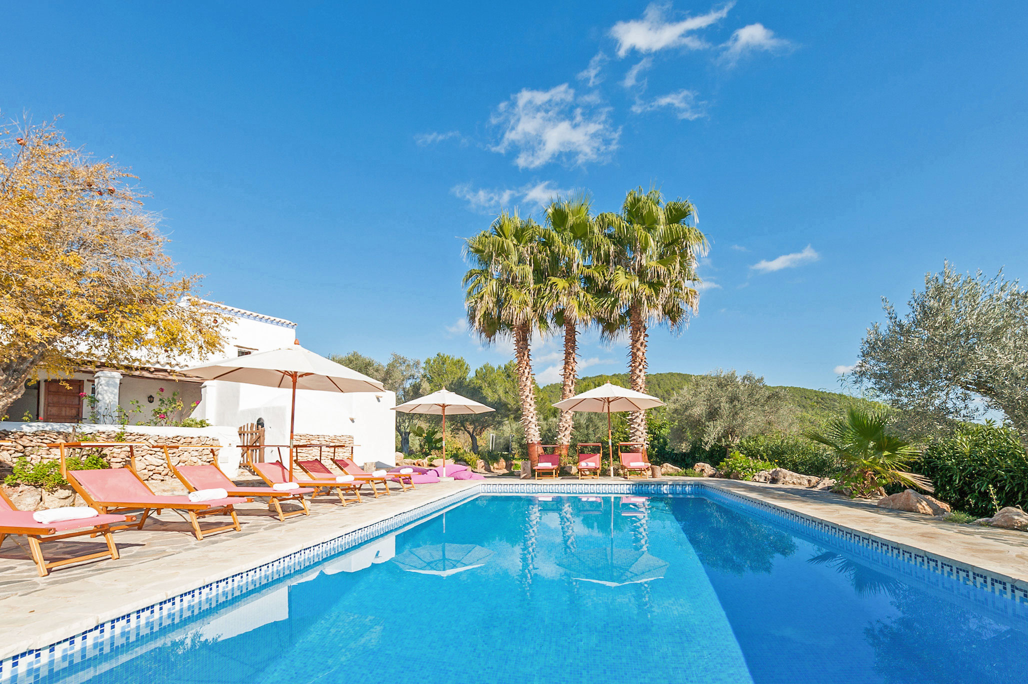 Finca Blanca — Santa Gertrudis